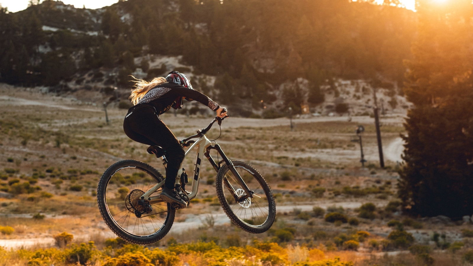 Kenda mountain bike tires
