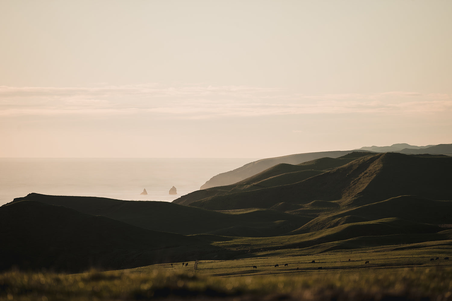 Coastal landscape
