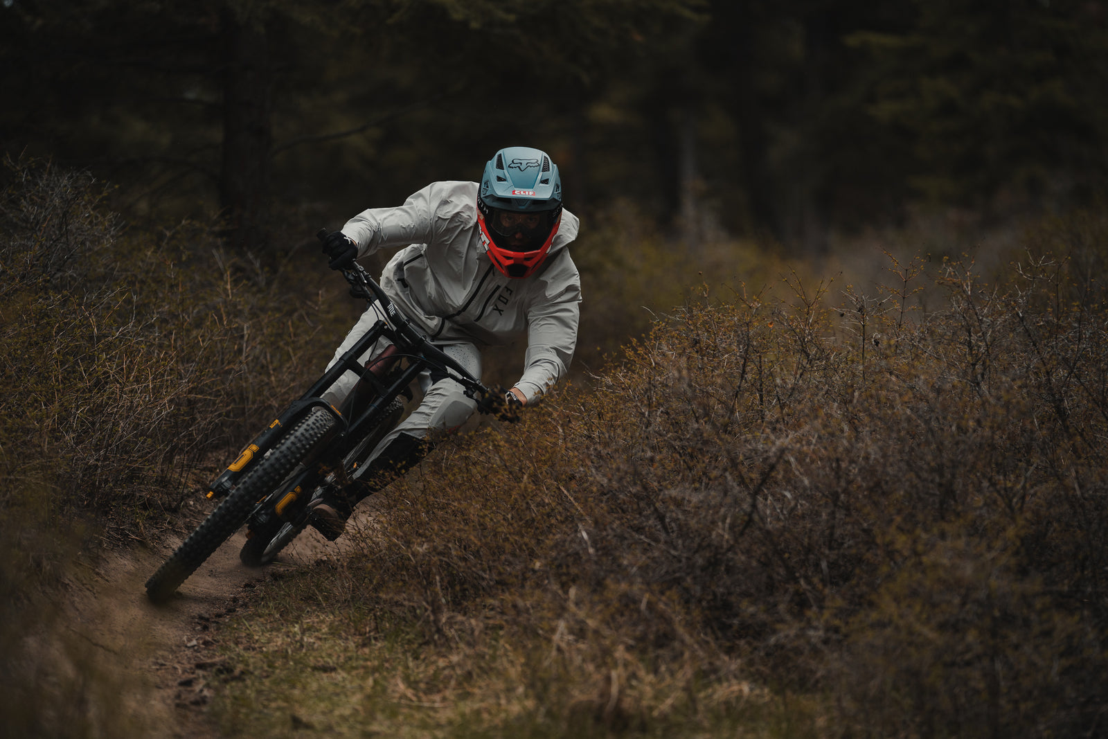 Kenda mountain bike tires