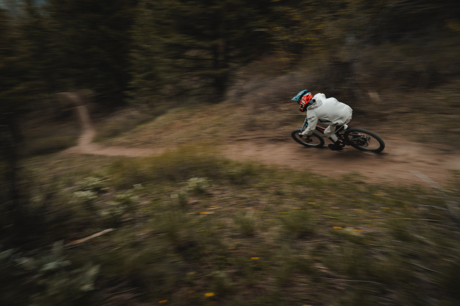 Kenda mountain bike tires